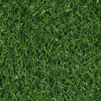 Искусственная трава «Ирэн» 18 мм ширина 2 м
