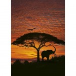 Фотообои Komar African Sunset 4-501 194х270 см