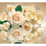 Фотообои DeliceDecor Белые розы Ф 020 300х270 см