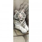 Фотообои DeliceDecor Белый тигр Ф 152 100х270 см