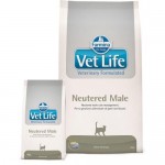 Сухой корм для кастрированных котов FARMINA Vet Life Neutered Male 2 кг