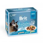 Влажный корм для кошек BRIT Premium Family Plate Gravy Семейная тарелка набор паучей Кусочки в соусе 85 г, 12 шт.